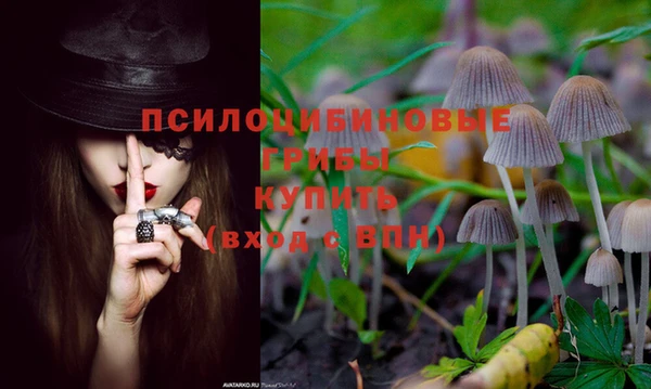 PSILOCYBIN Богородск